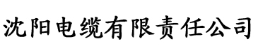 四虎电影视频电缆厂logo